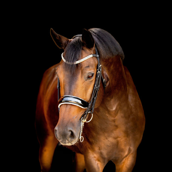 'Adeline' luxury leather bridle - (double) - Lumiere Equestrian