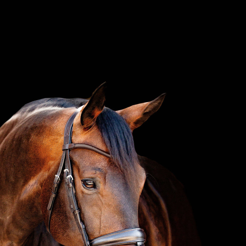 'Alina' Leather Bridle (Convertible)