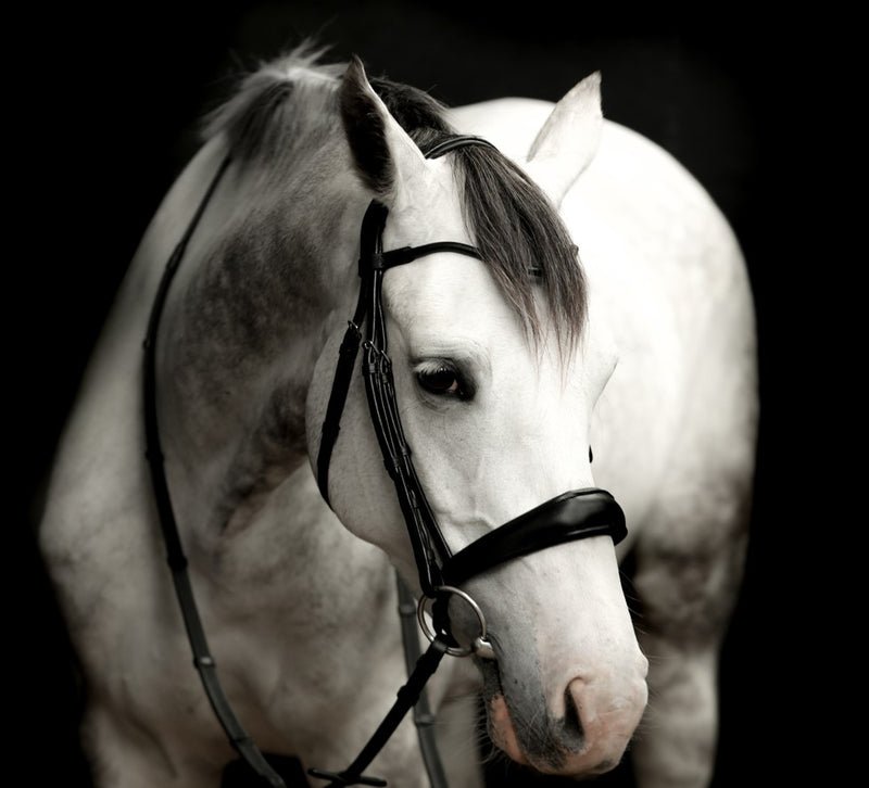 'Alina' Leather Bridle (Convertible)