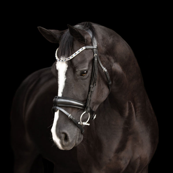 'Anastasia' bridle (convertible) - black - Lumiere Equestrian