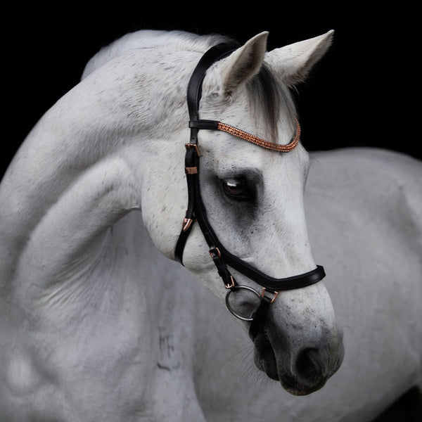 'Aria' Anatomic Leather Bridle (Micklem Style)