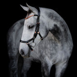 'Aria' Anatomic Leather Bridle (Euro Version)