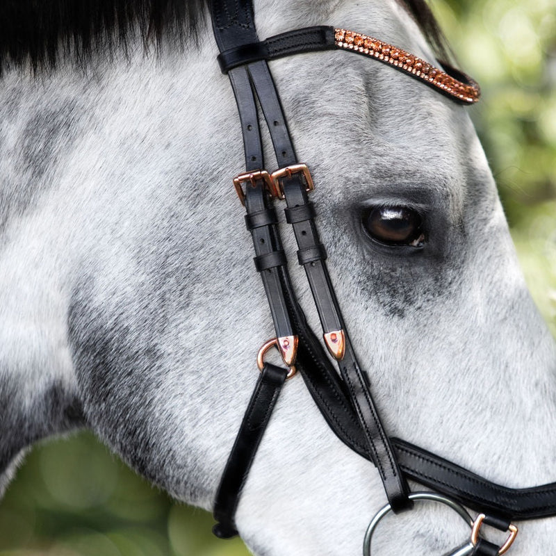 'Aria' Anatomic Leather Bridle (Euro Version)