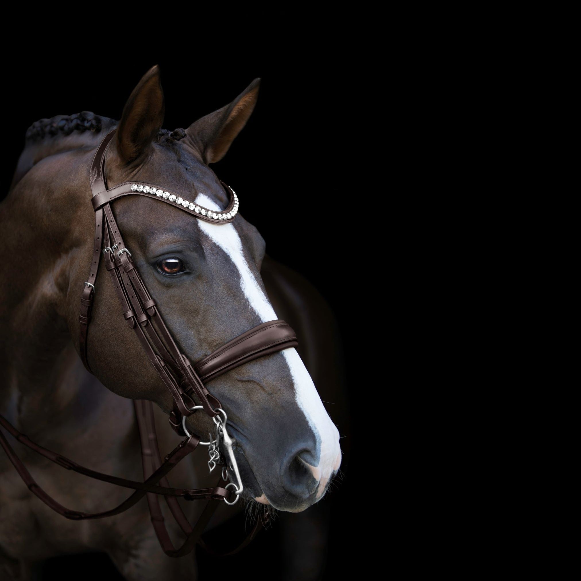 'Athens' luxury leather bridle - (double) - Lumiere Equestrian
