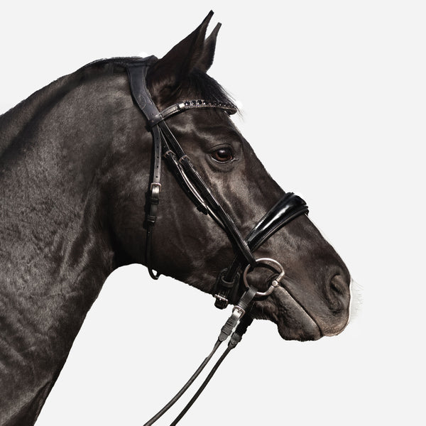 'Audrey' Rolled Leather Bridle (Cavesson)