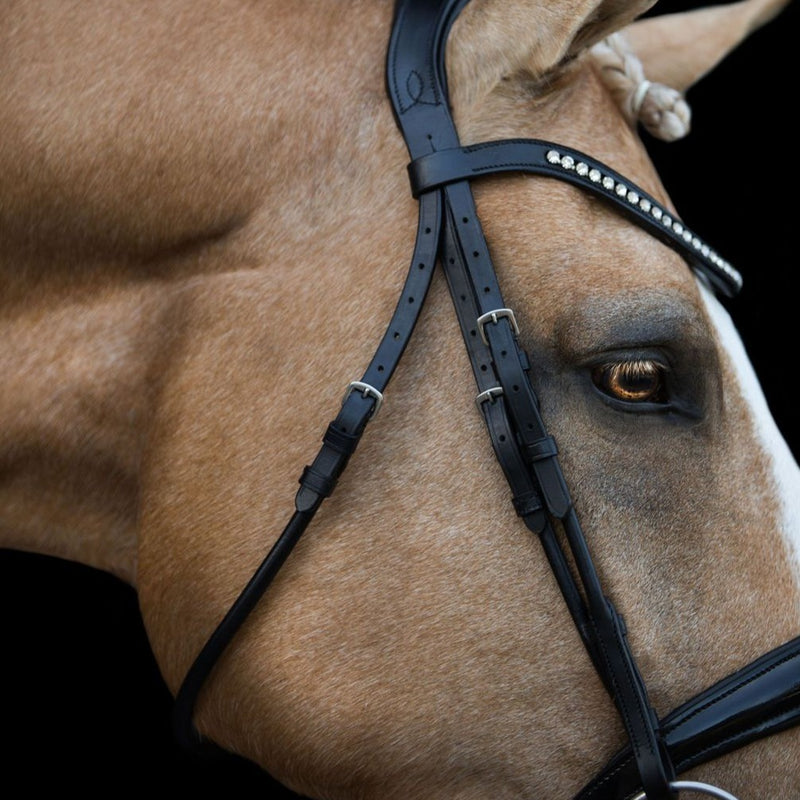'Aurelie' bridle (hanoverian) - black - Lumiere Equestrian