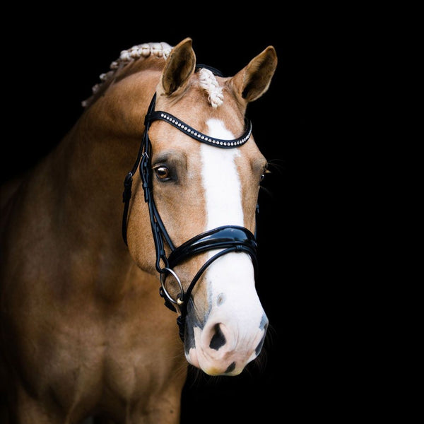 'Aurelie' bridle (hanoverian) - black - Lumiere Equestrian