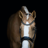 'Aurelie' bridle (hanoverian) - black - Lumiere Equestrian