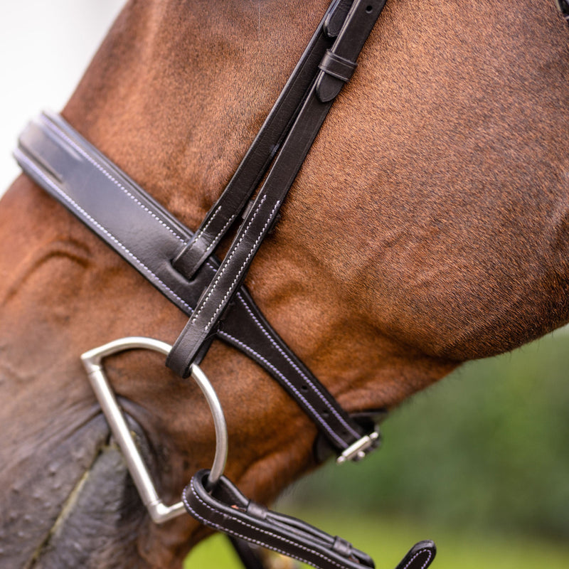 'Classic' hunter bridle