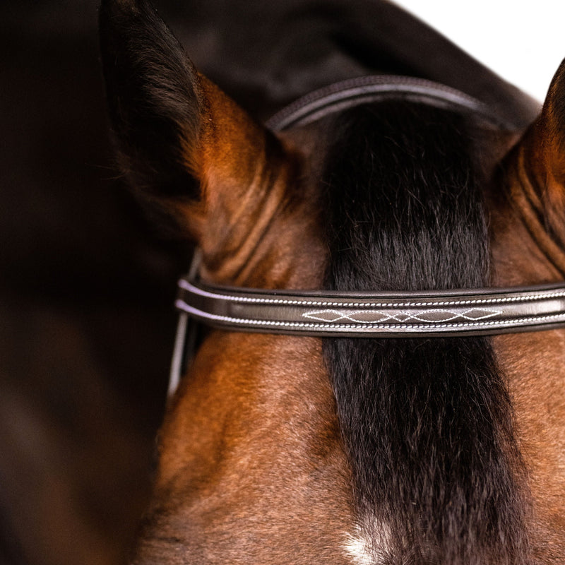 'Classic' hunter bridle