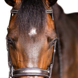 'Classic' hunter bridle