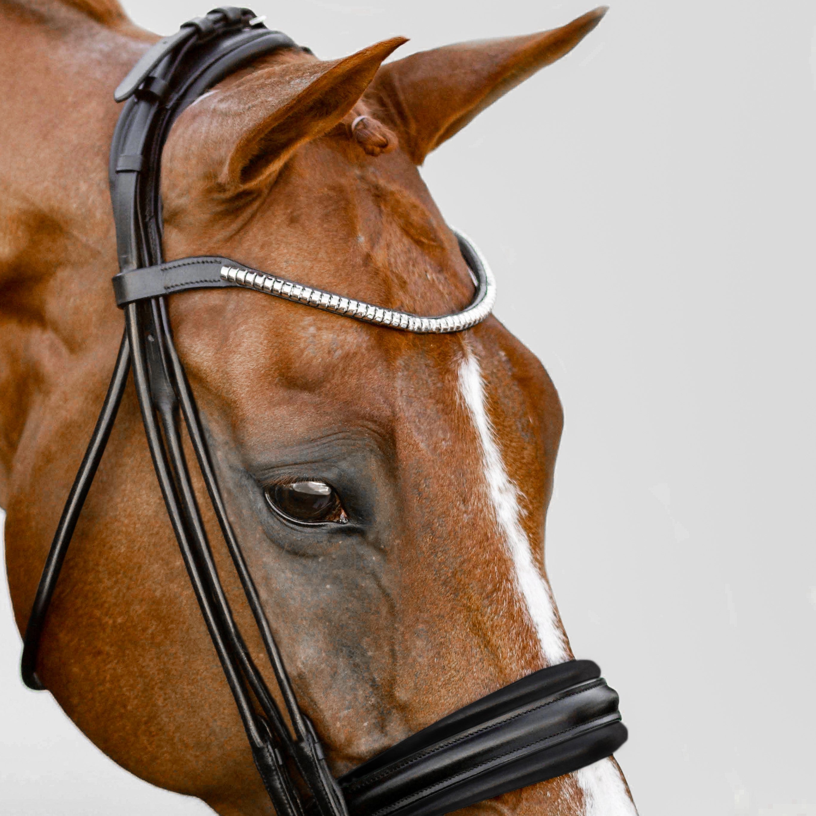 Magnifique browband - Lumiere Equestrian