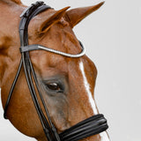 Magnifique browband