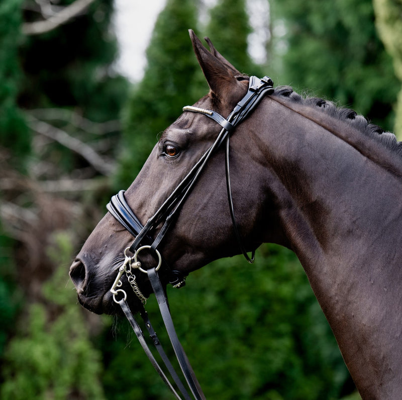 'Magnifique' rolled leather bridle - (double)