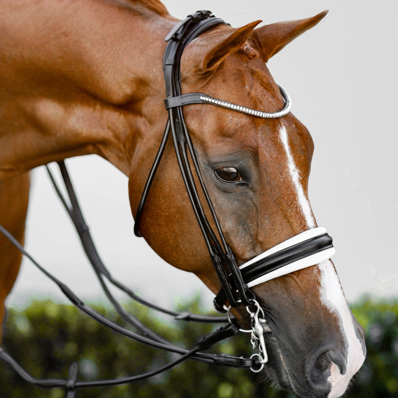 'Magnifique' rolled leather bridle white padding - (double)