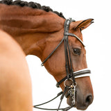 'Magnifique' rolled leather bridle white padding - (double)