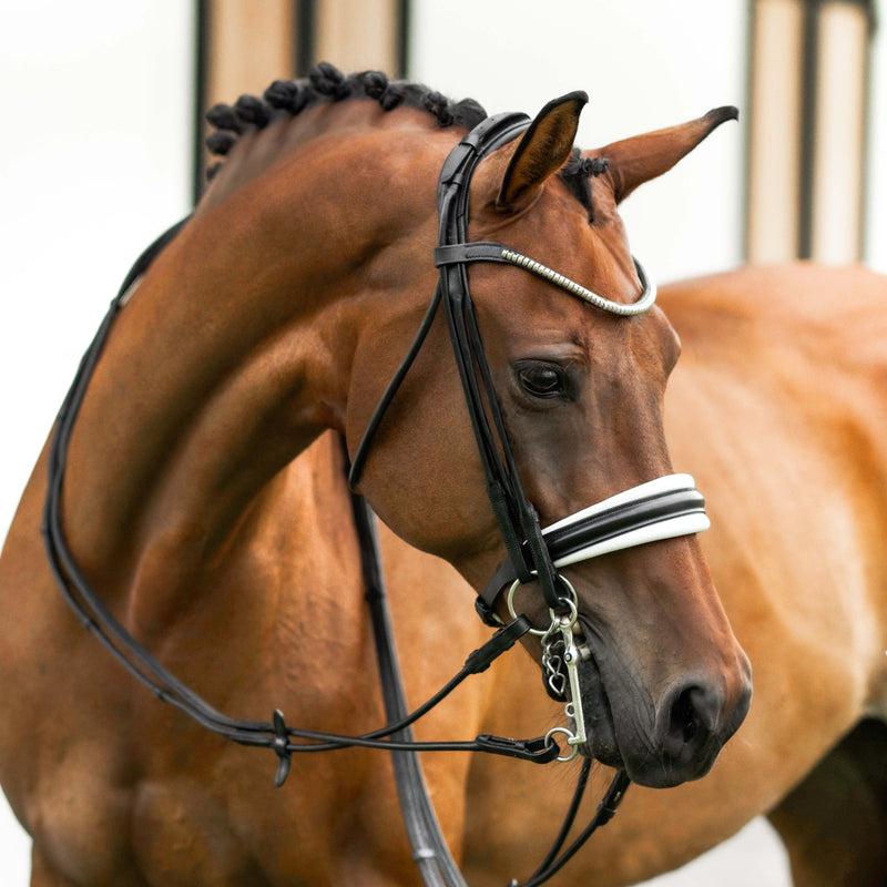 'Magnifique' rolled leather bridle white padding - (double)