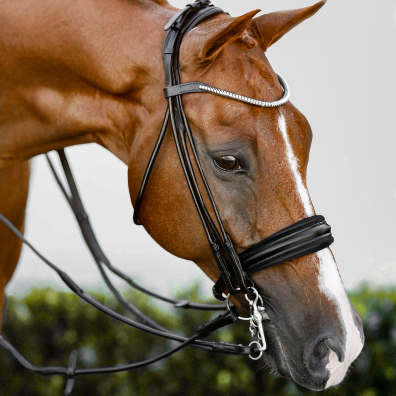 'Magnifique' rolled leather bridle - (double)