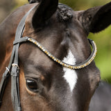 Megan browband