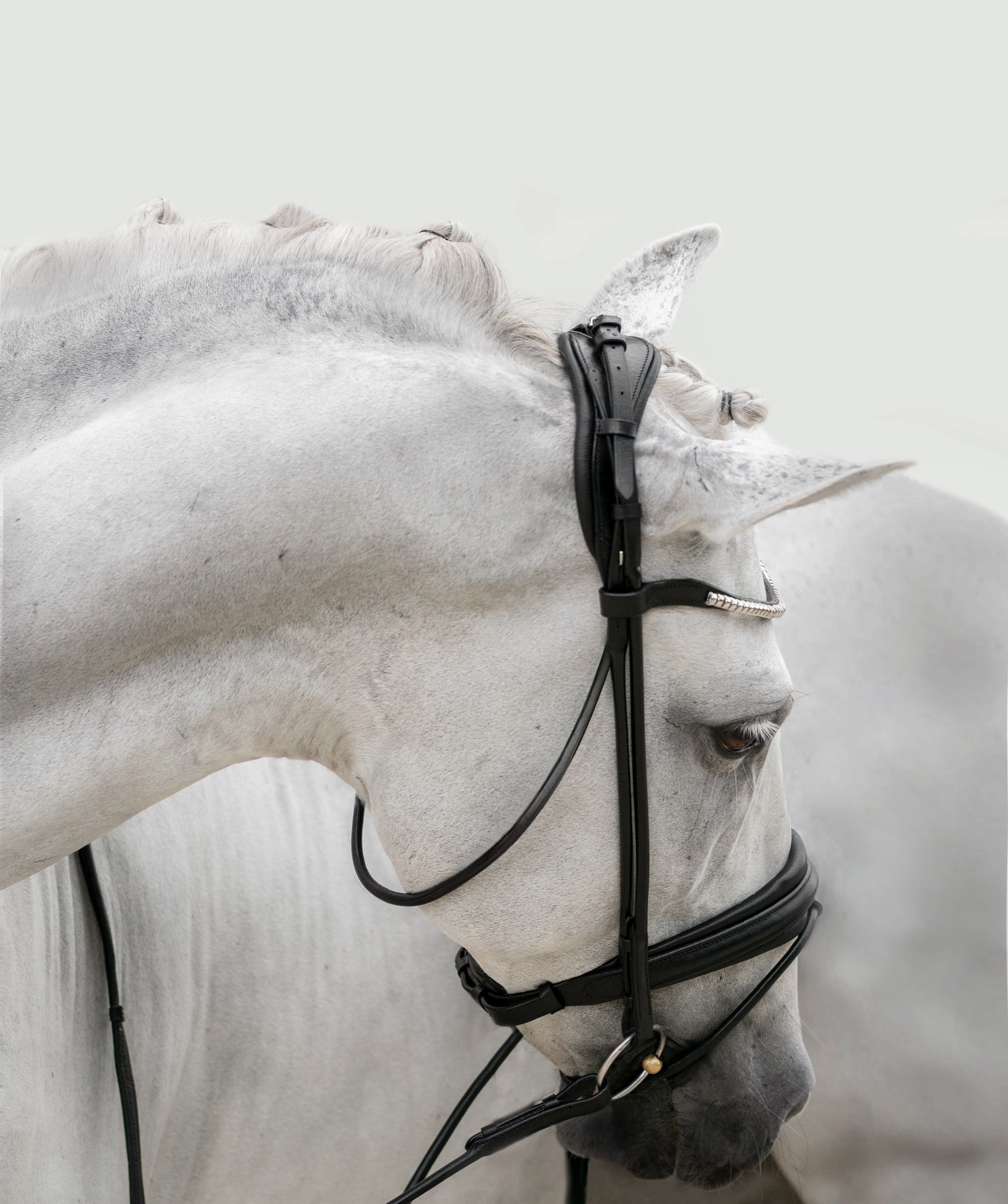 'Mercie' rolled classic bridle - Clearance - Lumiere Equestrian