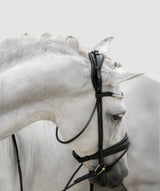 'Mercie' rolled patent bridle