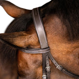 'Nouvelle' hunter bridle