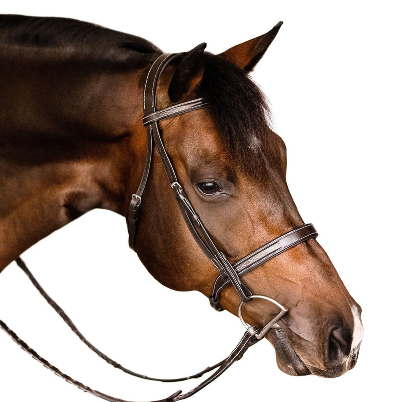 'Nouvelle' hunter bridle