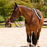 'Nouvelle' hunter bridle