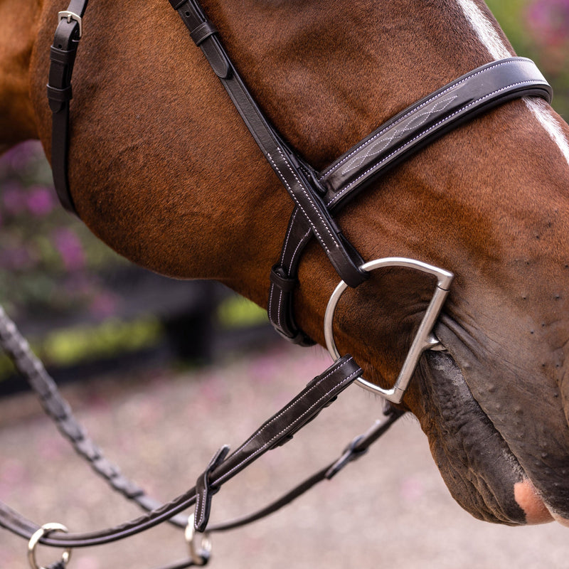 'Nouvelle' hunter bridle