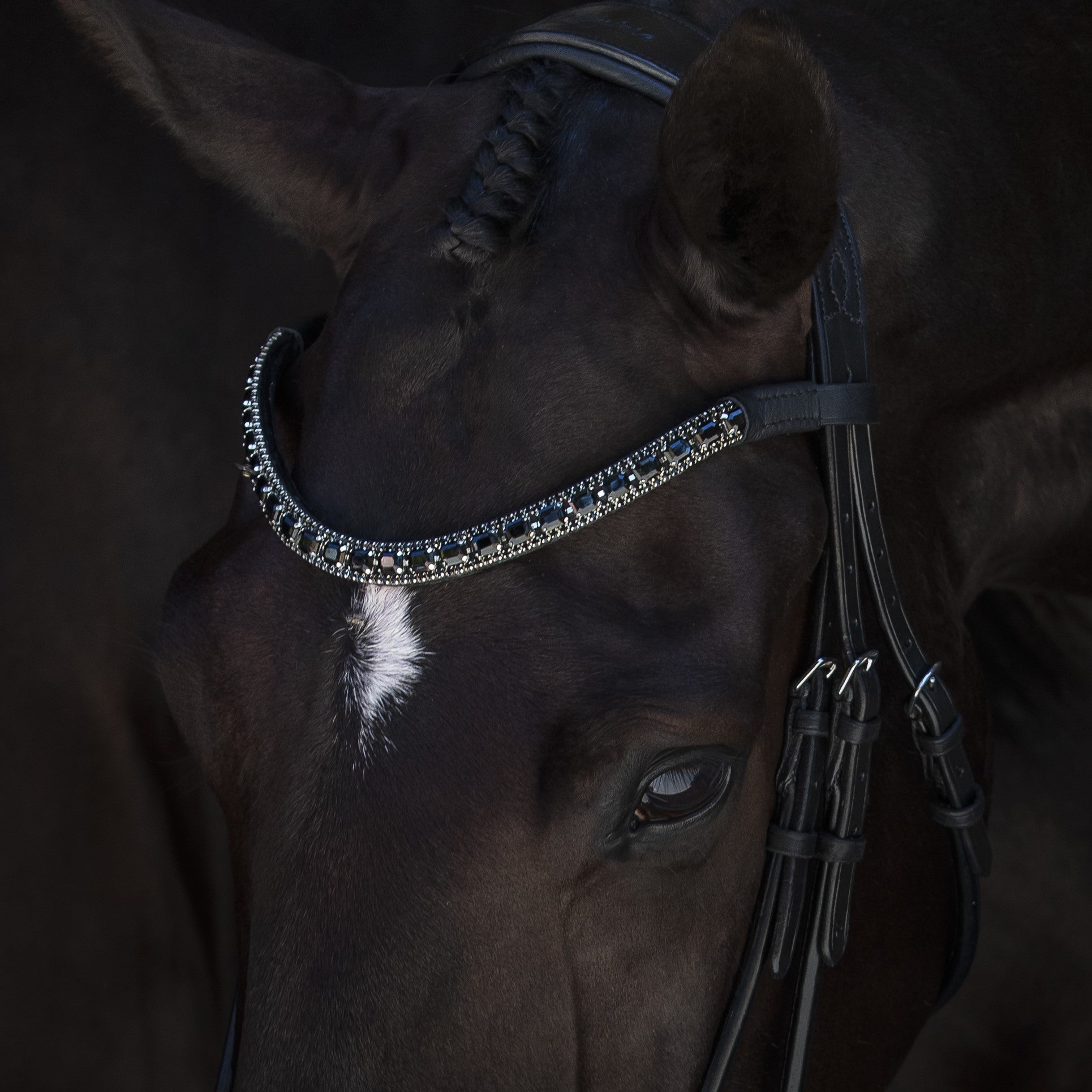 Onyx crystal browband - Lumiere Equestrian
