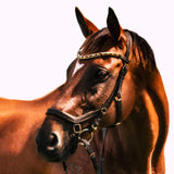 'Amber' (micklem style) leather bridle - brown - Lumiere Equestrian