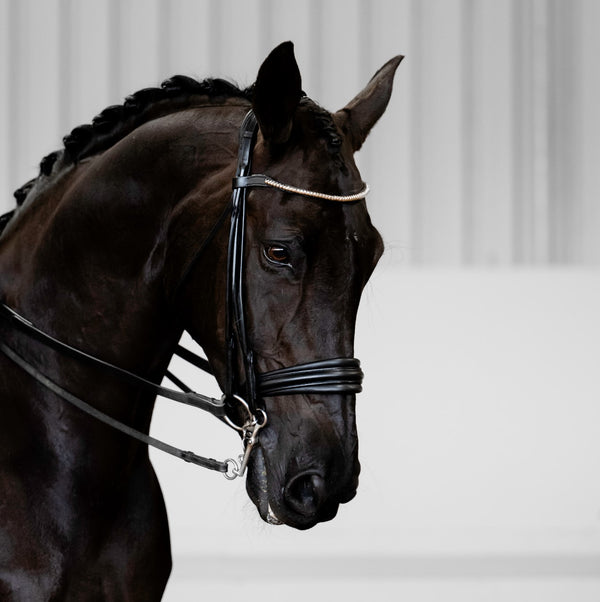 'Magnifique' rolled leather bridle - (double)