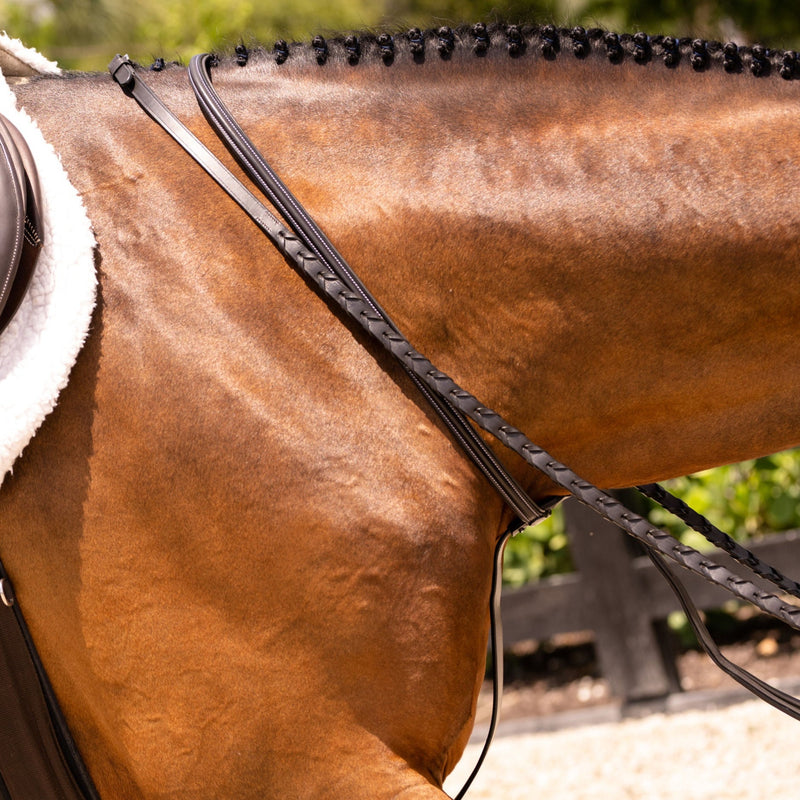 Running martingale – Lumiere Equestrian