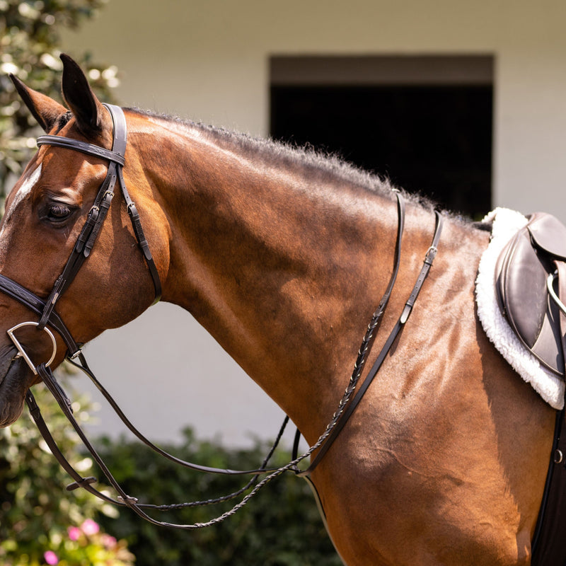 Lumiere Running Martingale – EQ Saddlery