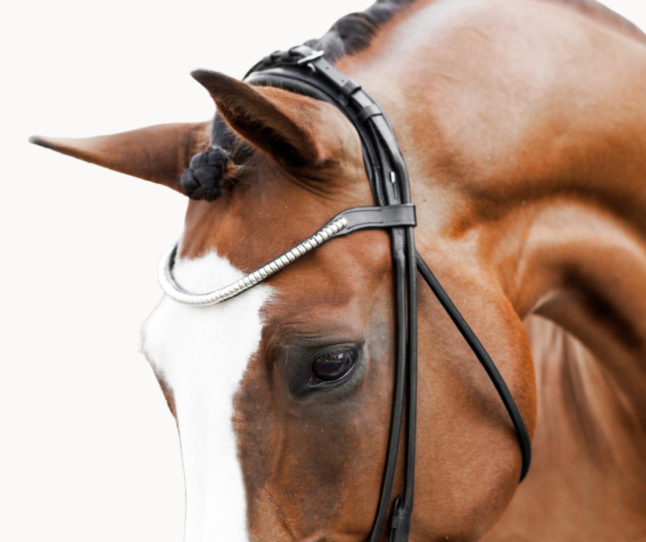 Magnifique browband - Lumiere Equestrian
