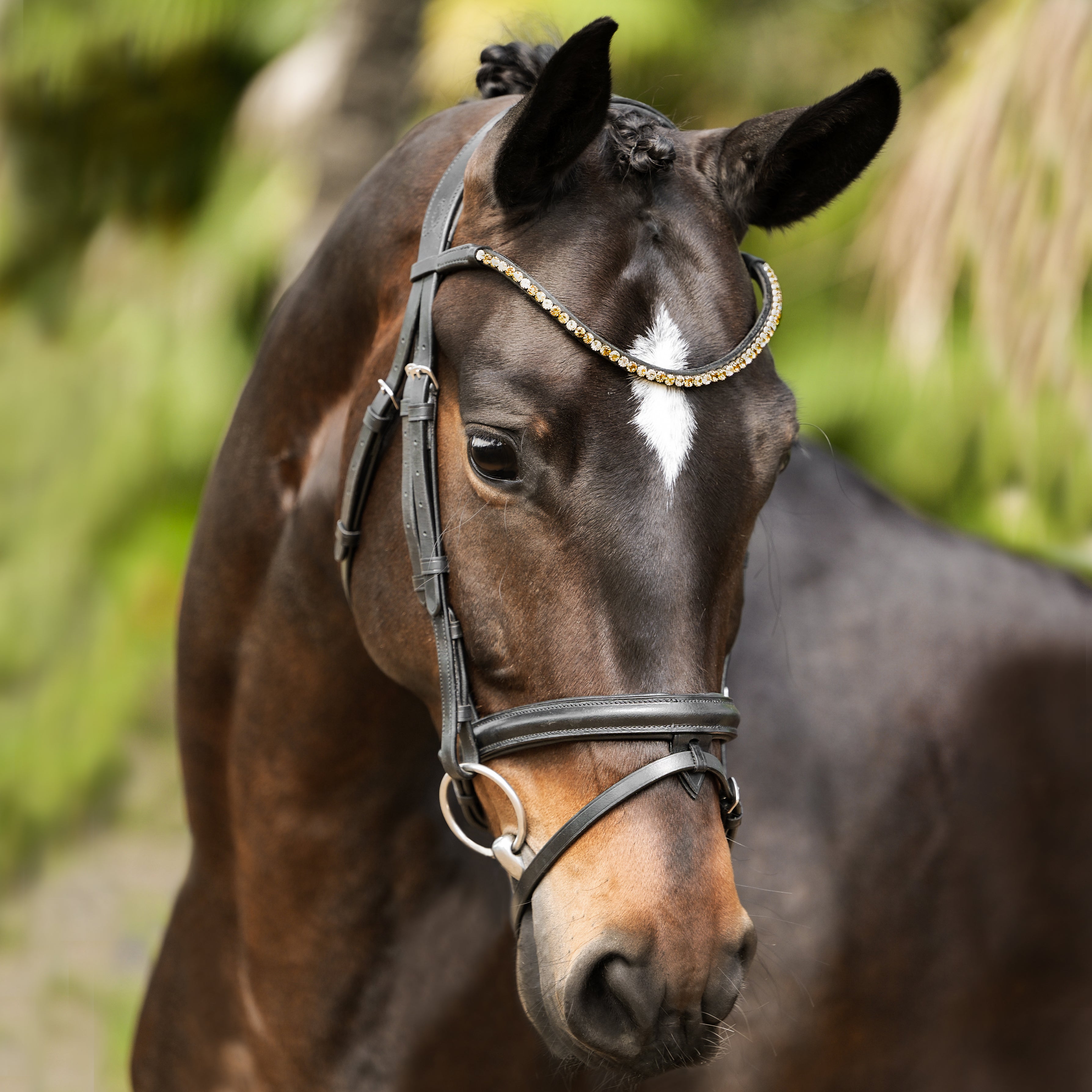 'Megan' convertible leather bridle - Lumiere Equestrian