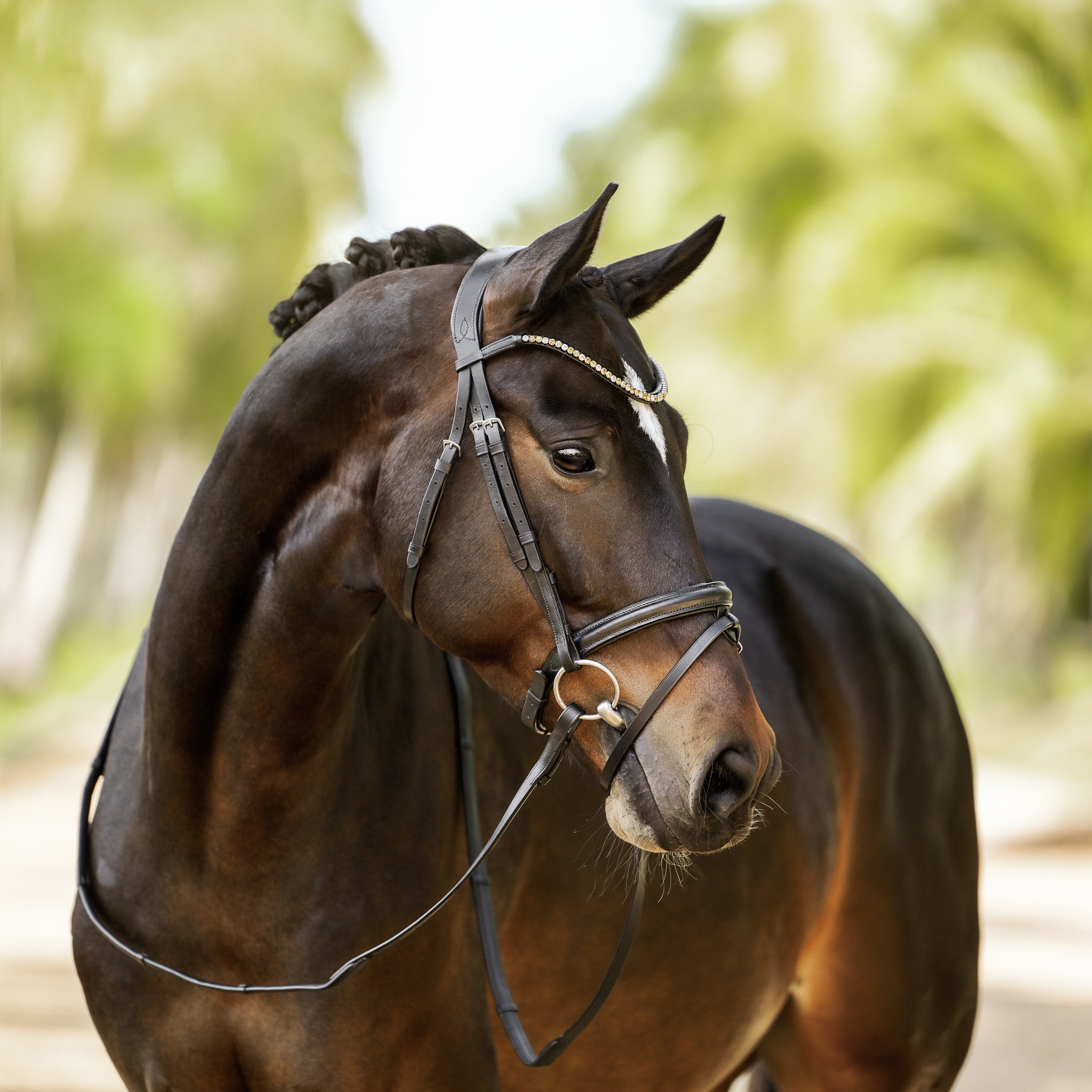 'Megan' convertible leather bridle - Lumiere Equestrian