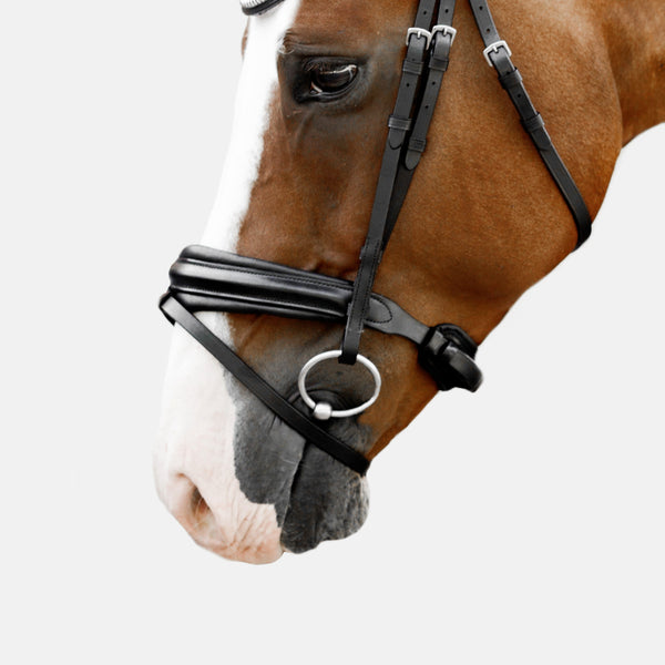 Melodie noseband - matte (hanoverian)