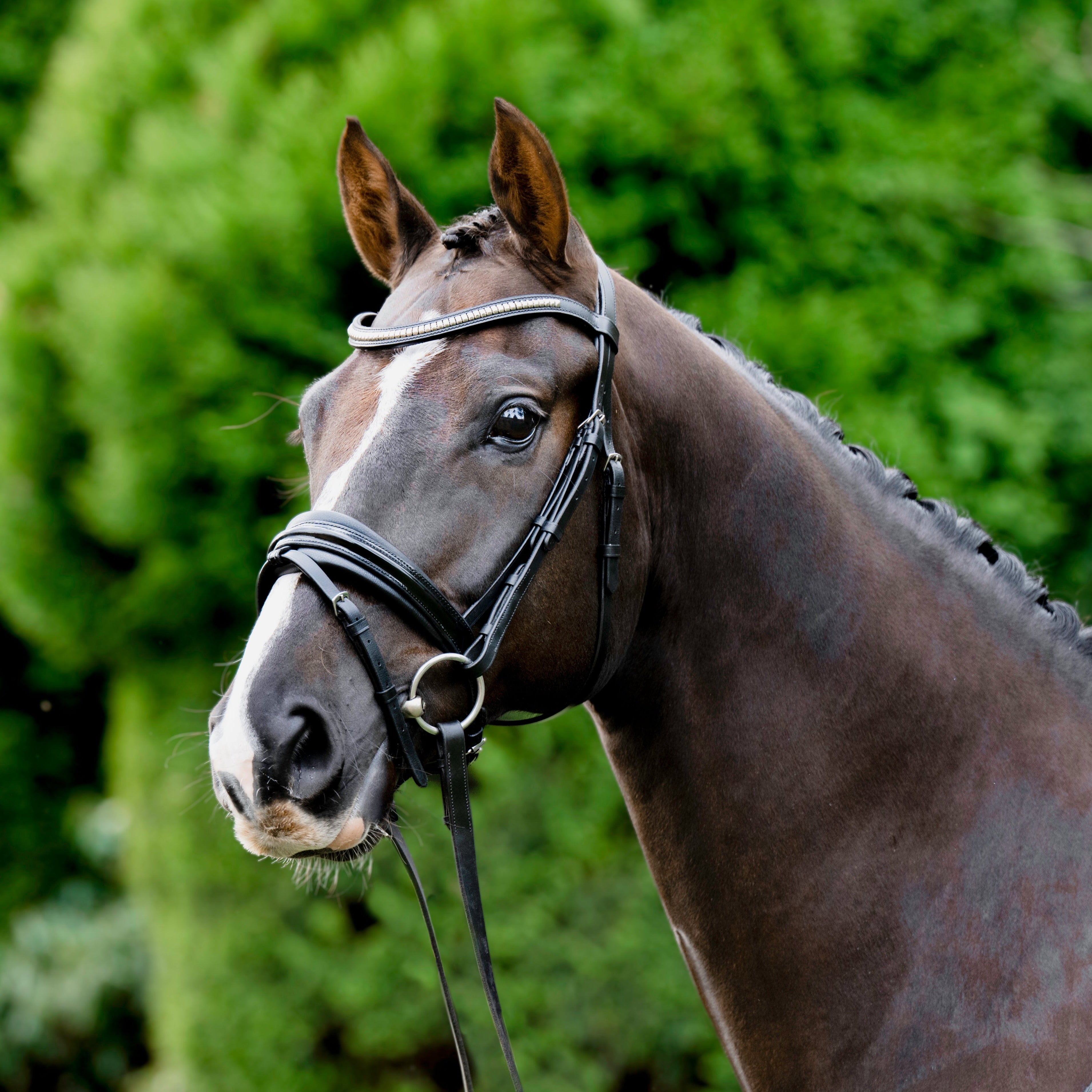 'Melodie' patent bridle - Lumiere Equestrian