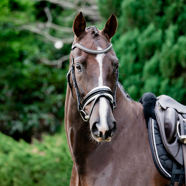 Melodie noseband - patent, white padding (hanoverian)