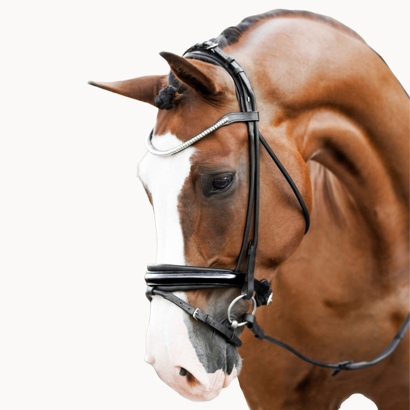 'Mercie' rolled patent bridle - Clearance