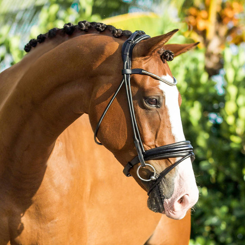 'Mercie' rolled patent bridle - Clearance