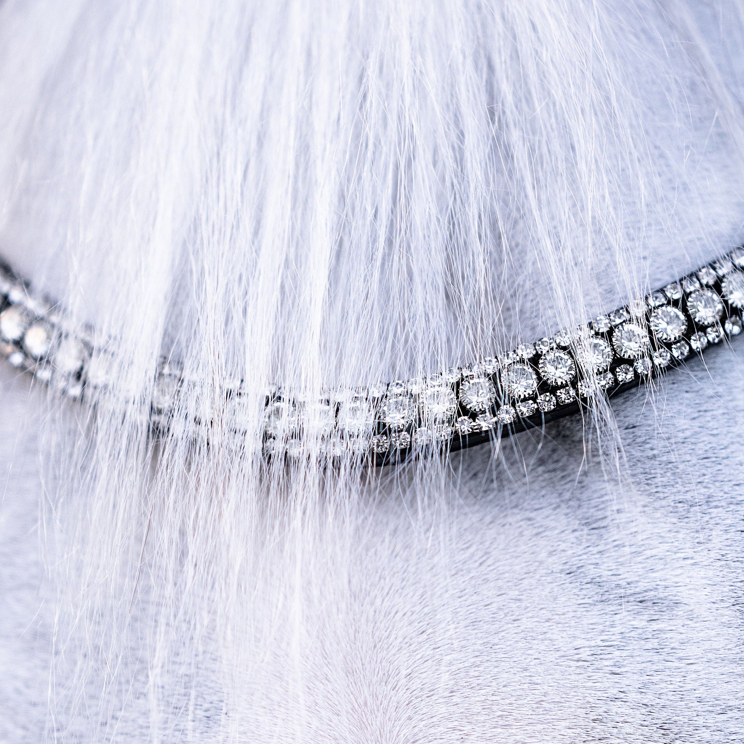 'Amie' Rolled Leather Bridle (Hanoverian) - Lumiere Equestrian