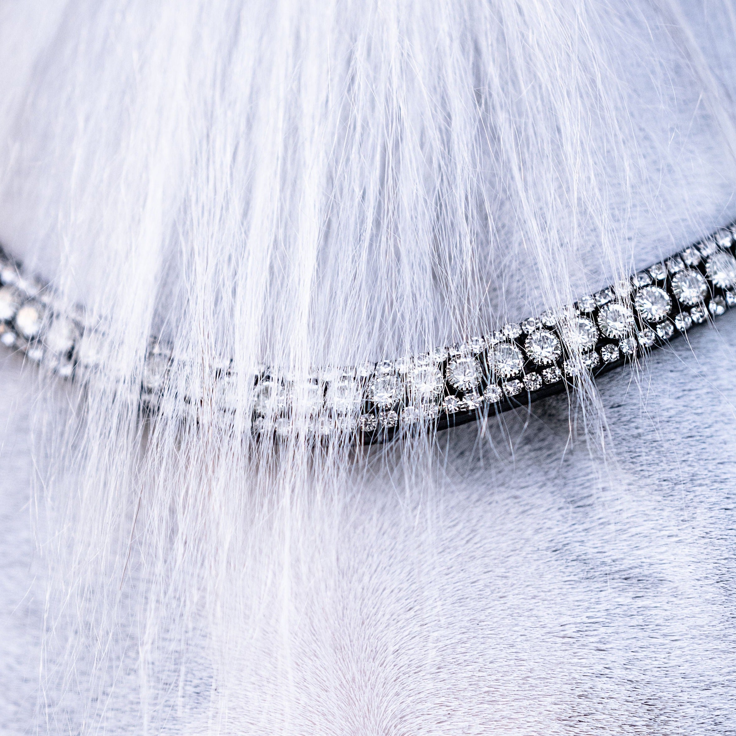 'Amie' luxury leather bridle - (double) - Lumiere Equestrian