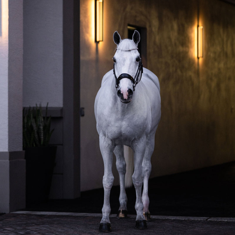 'Amie' Rolled Leather Bridle (Cavesson)