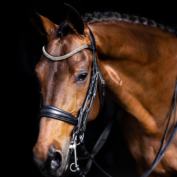 'Madeline' Luxury Leather Bridle - (Double)