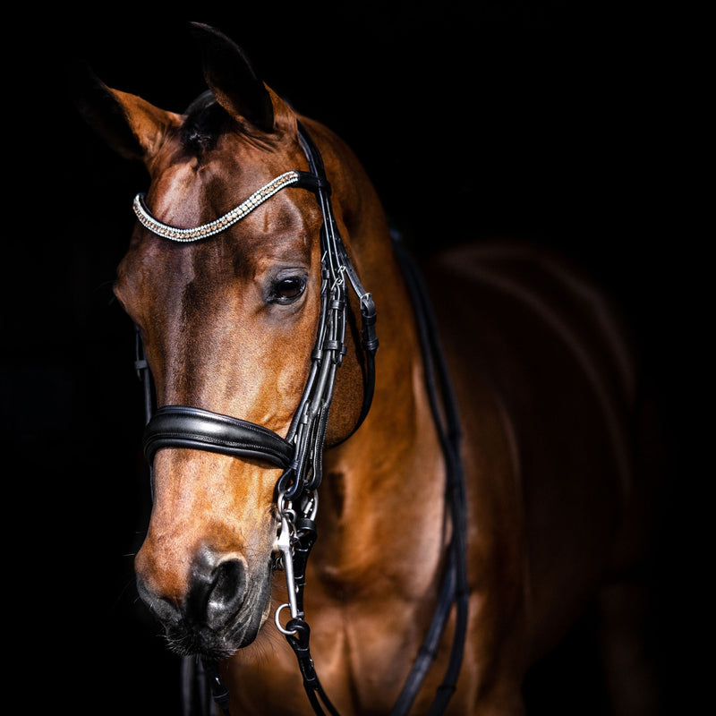 'Madeline' Luxury Leather Bridle - (Double)