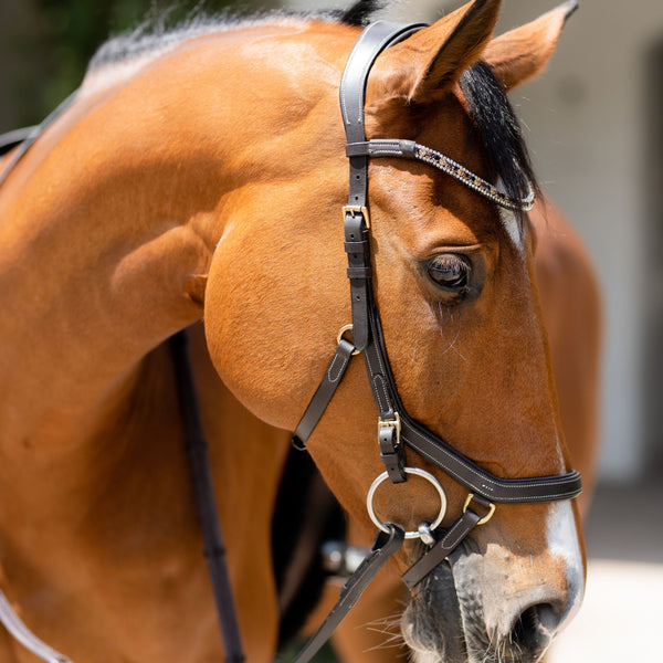 'Amber' Anatomic Leather Bridle (Micklem Style)