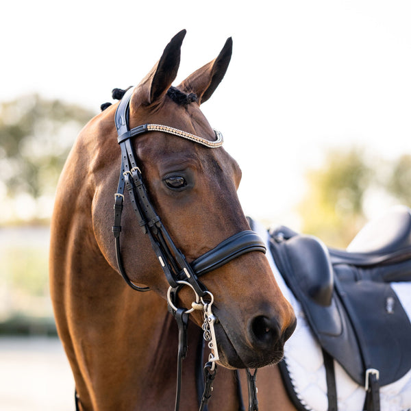 'Madeline' Luxury Leather Bridle - (Double)