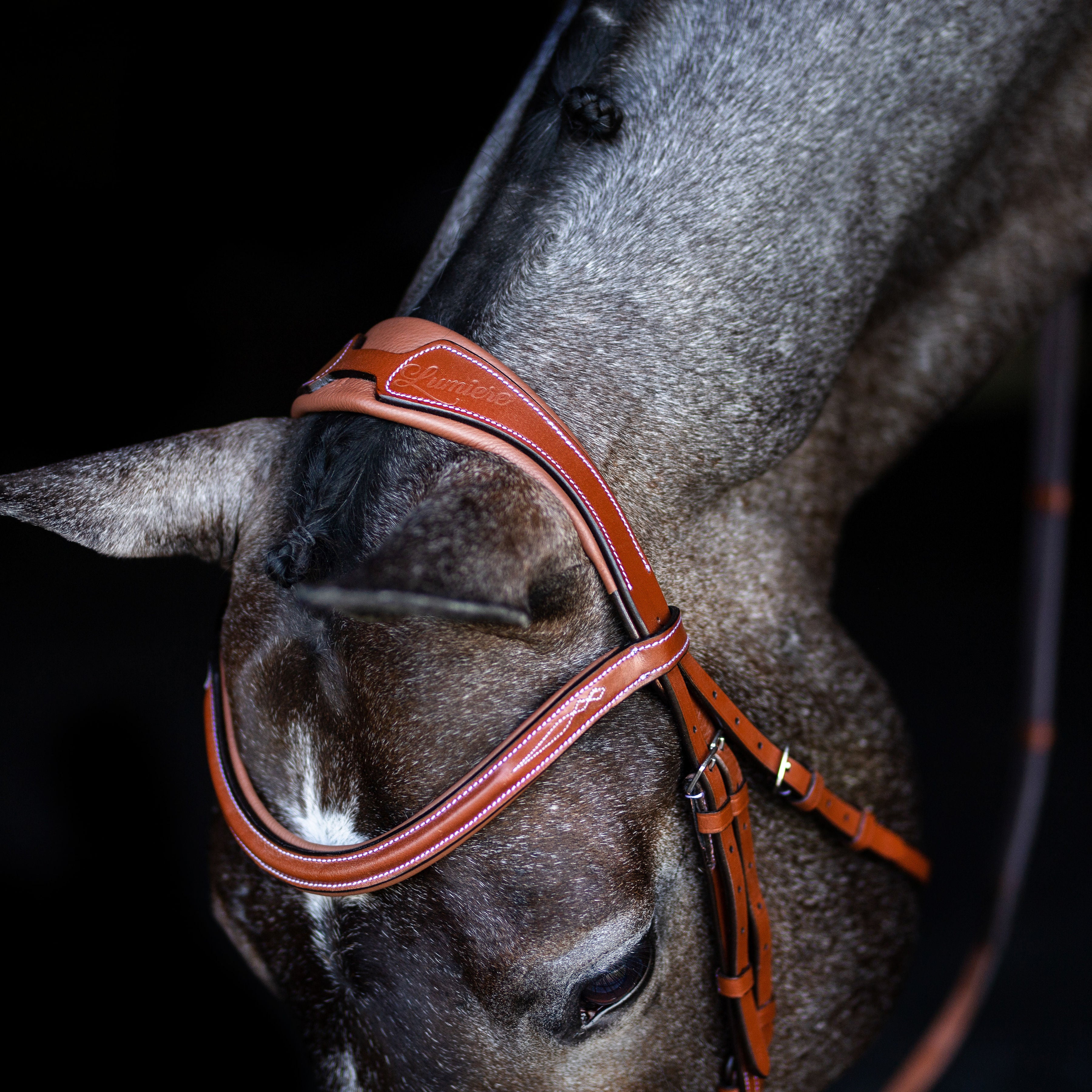 'Milan' leather bridle (convertible) - Lumiere Equestrian